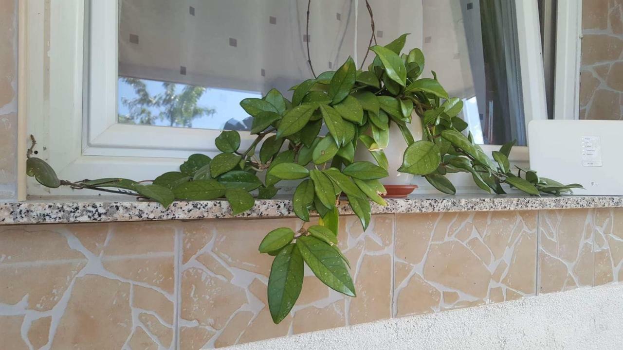 Apartment Goran & Nela Umag Luaran gambar