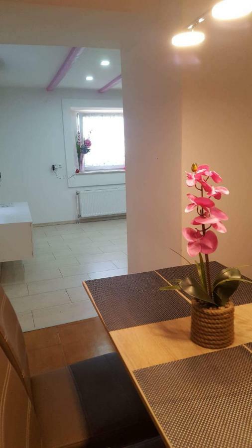 Apartment Goran & Nela Umag Luaran gambar
